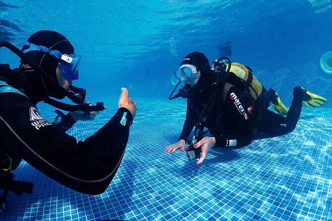 Scuba Diving Experience for Beginners in Ponta de São Lourenço - Entering the Water Safely: Theory, Gear Check, and Shallow Practice