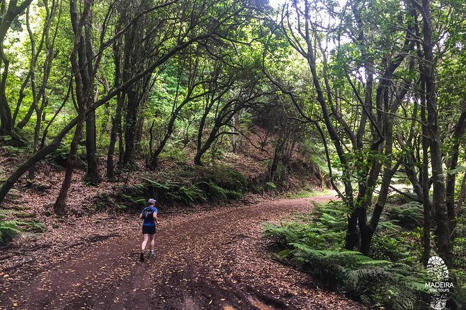 Sea 2 Mountain Running Tour (Moderate-Hard) - Vereda Do Larano and the start line by Pestana CR7