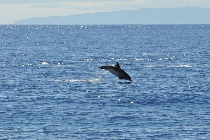 Seaborn Catamaran trips - The swim and underwater time in summer