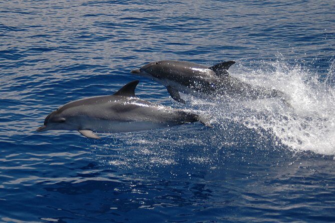 Seaborn Catamaran trips - Photo and memory moments: what you leave with