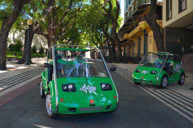 Self-Guided Sightseeing Tour on an Eletric Car | Funchal - The Route in About Two Hours: Market, Cathedral, Beach, and a Fishing Town