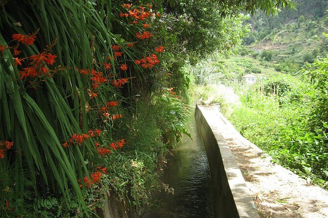 Serra D'Água Valley - Levada Walk - Serra de Água Stop: The 5 km Route, Pacing, and Stops
