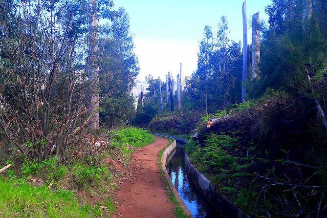 Serra D'Água Valley - Levada Walk - The Water-Channel Story Behind the Irrigation Levada