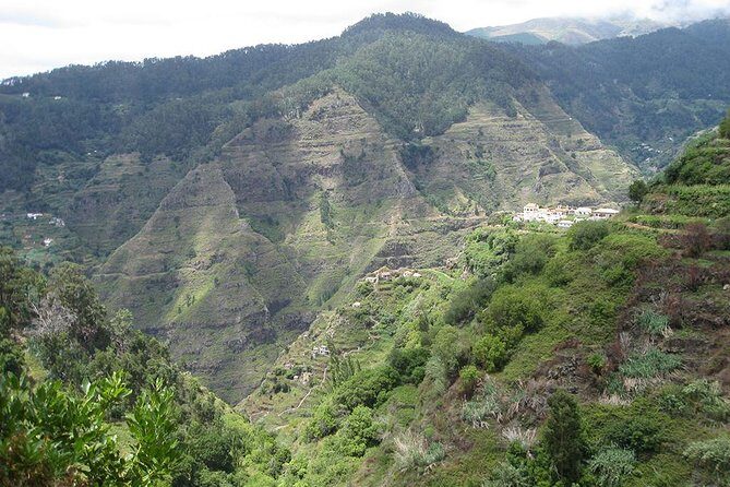 Serra D'Água Valley - Levada Walk - Fauna, Flora, and Why Louisa and Miguel Matter