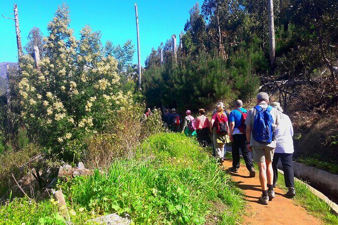 Serra D'Água Valley - Levada Walk - How Pickup Really Works from Funchal
