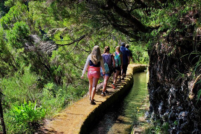 Shore Excursion Porto Moniz - Enchanted Terraces 4x4 tour - The route starts with Serra de Água’s misty mountain charm