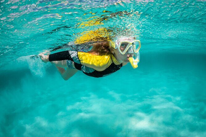Snorkelling Trip at Ponta de São Lourenço Protected Area - Key highlights worth planning for
