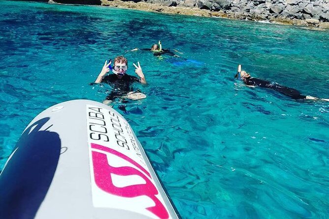 Snorkelling Trip at Ponta de São Lourenço Protected Area - Gear included: pack light and get in the water faster