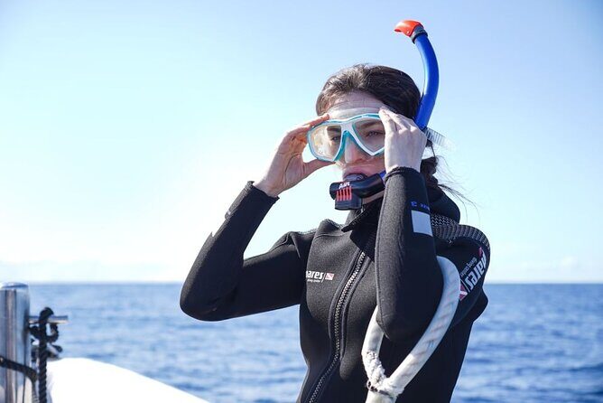 Snorkelling Trip at Ponta de São Lourenço Protected Area - Marine life: what you’ll likely see, and what can affect sightings