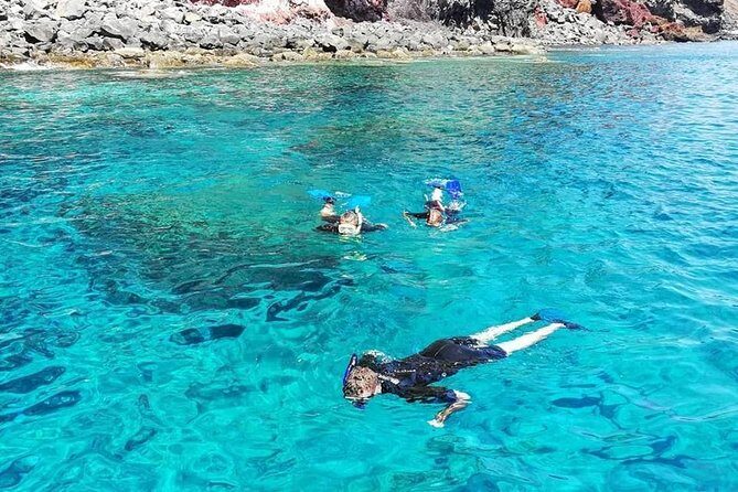 Snorkelling Trip at Ponta de São Lourenço Protected Area - Price and value: $42.24 for a guided reserve experience