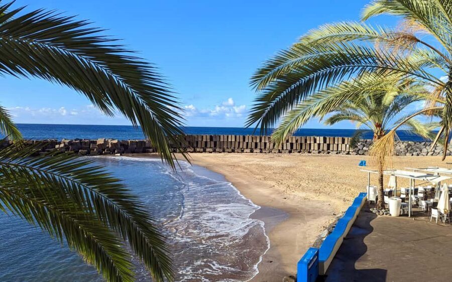 Southwest Madeira: Half-Day Cabriolet Jeep Adventure - Key things I’d circle before you book
