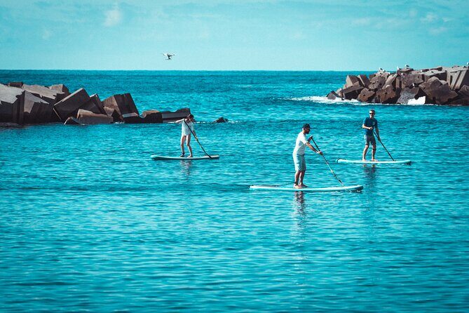 Stand Up Paddle Private Lesson in Calheta Beach - On the Water With a Real Instructor: Skills, Safety, and Confidence
