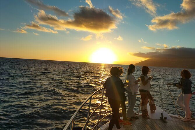 Sunset Cruise with Dinner on Board - Wildlife and Flying Fish: How to Think About the Odds