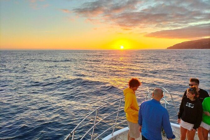 Sunset Cruise with Dinner on Board - The Cruise Route: Southern Madeira Views and the Funchal Lights Moment