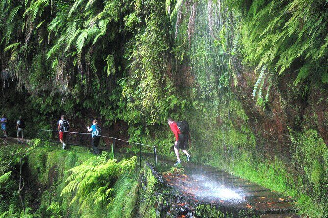 The King's Levada - Levada do Rei - Key things to know before you go