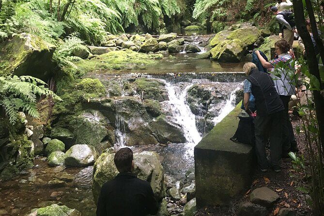 The King's Levada - Levada do Rei - Where the King’s Levada hike starts in Funchal (and why it matters)