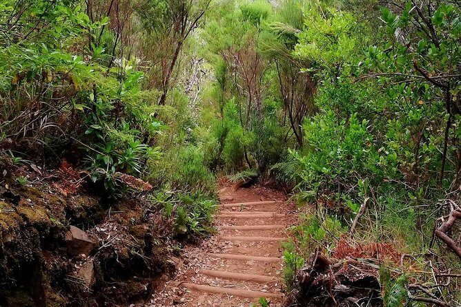 The Lakes Walk - Entering The Paul da Serra Plateau: where the walk really starts