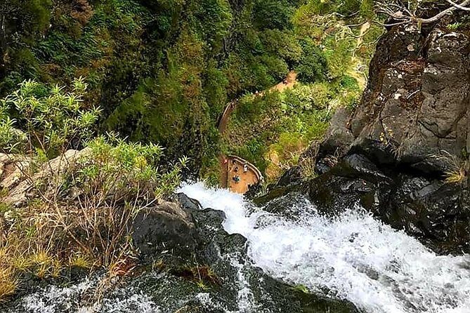 The Lakes Walk - Why the levada stories matter: more than just walking