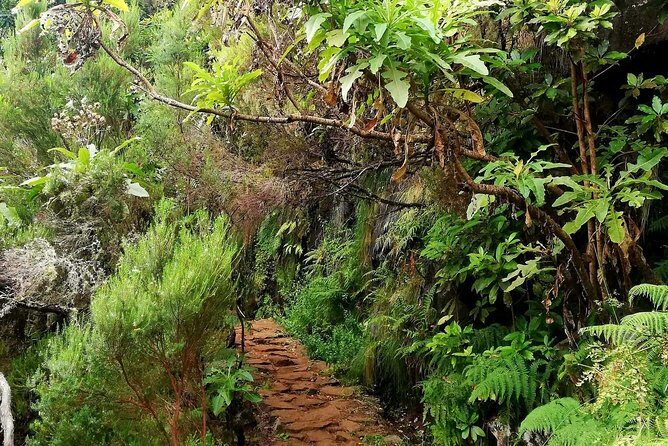 The Lakes Walk - The 10 km route: pacing, breaks, and what the trail feels like