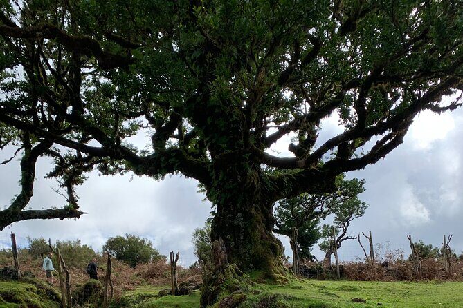 The Untraveled West Tour - Key highlights from this west Madeira 4x4 day