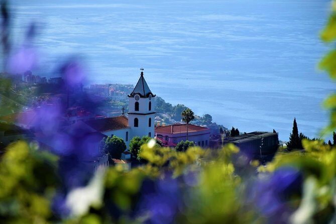 Tour - 8 Villages to the West - Câmara de Lobos: Fishing Town Energy First