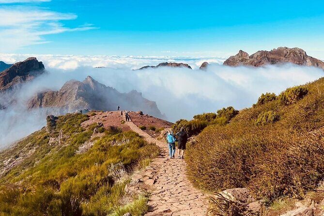 Transfer from Achada do Teixeira to Pico do Arieiro - The Route Through Santana, Ribeiro Frio, and Poiso