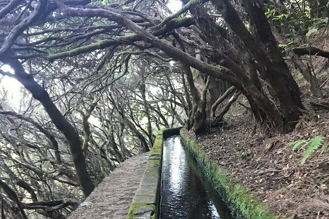Twenty-Five Fountains Levada walks (private) - Getting to the trail from Funchal: pickup and a real start-to-finish day