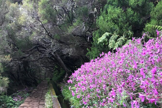 Twenty-Five Fountains Levada walks (private) - Avoiding crowds without making it feel rushed