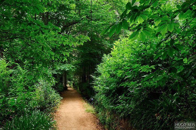 Vale Paraiso - Paradise Valley Walk - Quick hits before you go