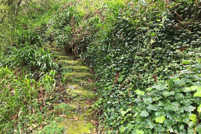 Vale Paraiso - Paradise Valley Walk - Vale Paraiso Paradise Valley Walk: what you’re really signing up for