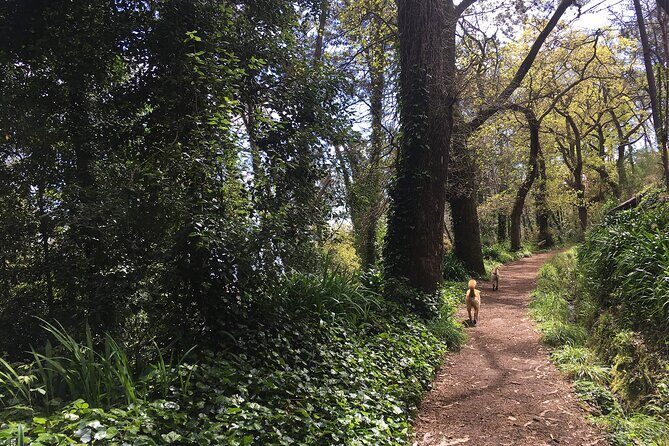 Vale Paraiso - Paradise Valley Walk - The real highlight: the guide and the live commentary