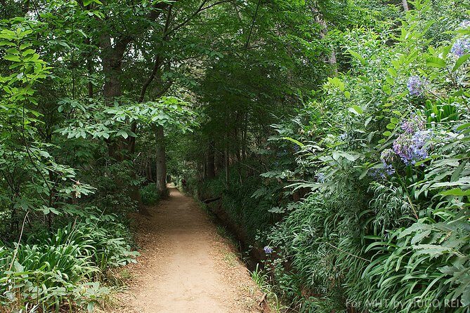 Vale Paraiso - Paradise Valley Walk - Where it starts in Funchal, and why timing matters