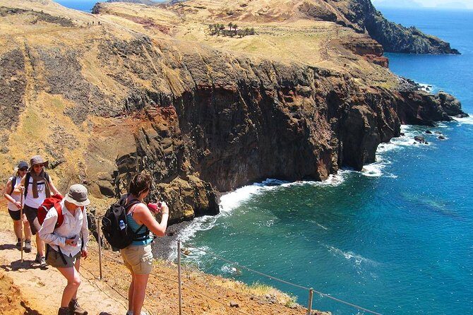 Vereda da Ponta de São Lourenço Trail Walking Tour - Price and value: what $46.96 covers (and what it doesn’t)