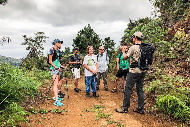 Walk with a local - Why a guided Madeira walk beats DIY levadas