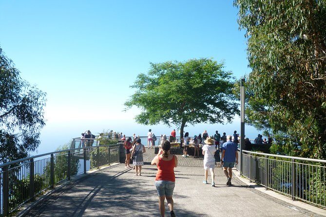 West Tour - Stop 5: Paul da Serra, the Island’s Largest Plateau View