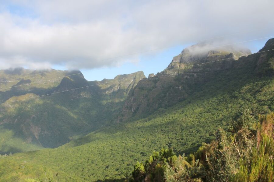 West Tour Full day 4x4 Jipe Tour Natural Swimming Pools - Fanal Forest: ancient trees and moody atmosphere