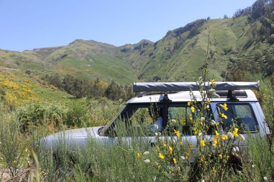 West Tour Full day 4x4 Jipe Tour Natural Swimming Pools - Hotel pickup and start points: choosing Funchal vs Caniço