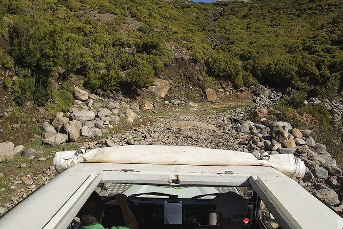 Wine + Dolphin Watching - Full Day- Shared Tour - The shape of the day: how 7 hours actually feel