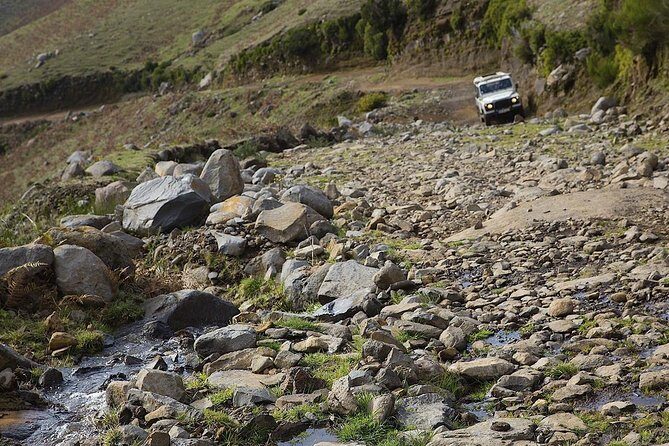 Wine + Dolphin Watching - Full Day- Shared Tour - Jeep drive from Funchal into Serra d’Água and the north-island views