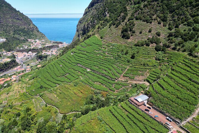 Wine taste, 4x4 Jeep Adventure and Cabo Girão Skywalk - The highlight logic: why Cabo Girão is the right first stop