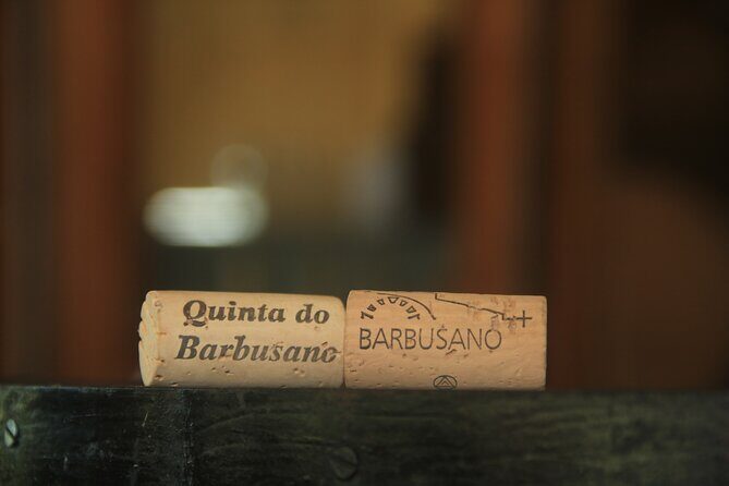 Wine taste, 4x4 Jeep Adventure and Cabo Girão Skywalk - São Vicente: old town streets, pebble beaches, and a black-sand moment