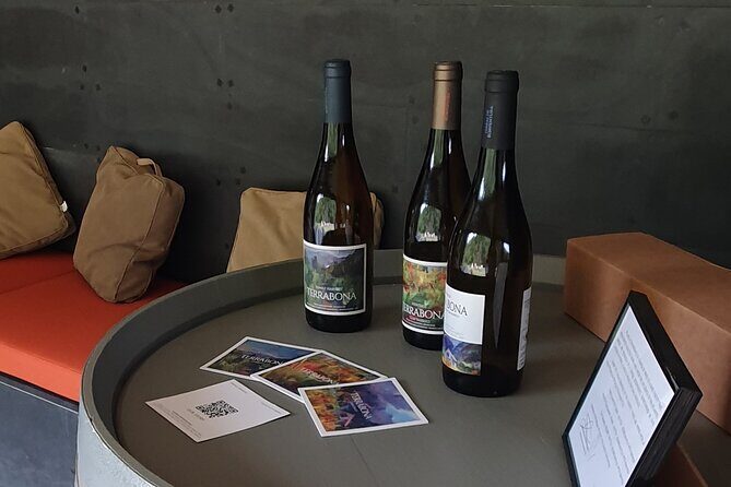 Wine Tasting Experience in Boaventura, Madeira North Coast - Why Boaventura’s Laurissilva setting makes the tasting different