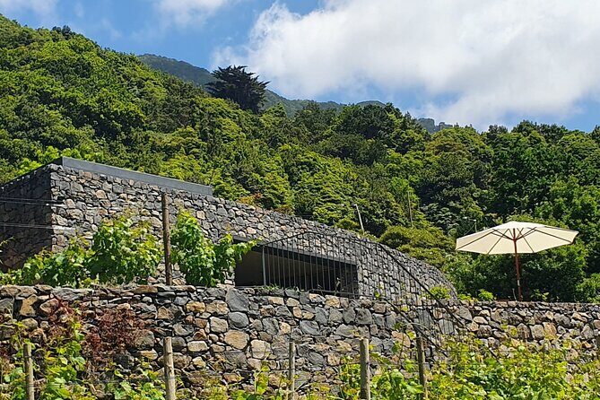 Wine Tasting Experience in Boaventura, Madeira North Coast - Who this wine experience suits best