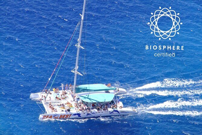 Wines Tasting Experience and Skywalk with Dolphin Watching - Price and logistics: what you’re really paying for