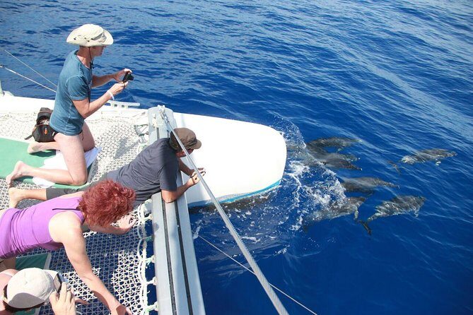 Wines Tasting Experience and Skywalk with Dolphin Watching - Morning pickup and the 4×4 mindset